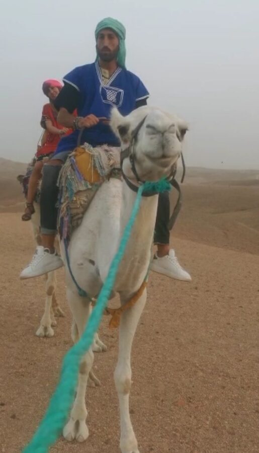 Camel trekkers in Agafay Desert
