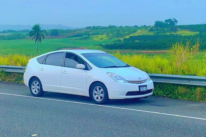Airport /Hotel Transfer Norman Manley airport and Montego bay - The Experience: What You Can Expect
