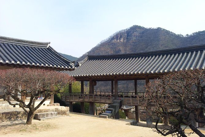 Andong Hahoe Village [UNESCO site] Premium Private Tour from Seoul - Hahoe Mask Museum: Art and Tradition
