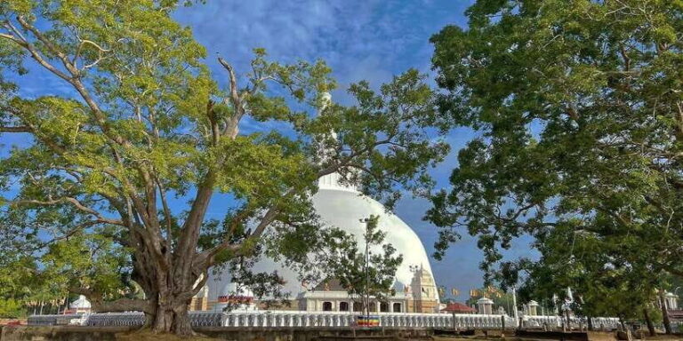 Anuradhapura Private Ancient City Day Tour - The Itinerary: What to Expect
