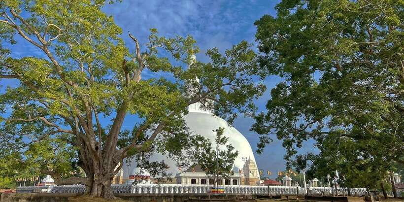 Anuradhapura Private Ancient City Day Tour - The Itinerary: What to Expect