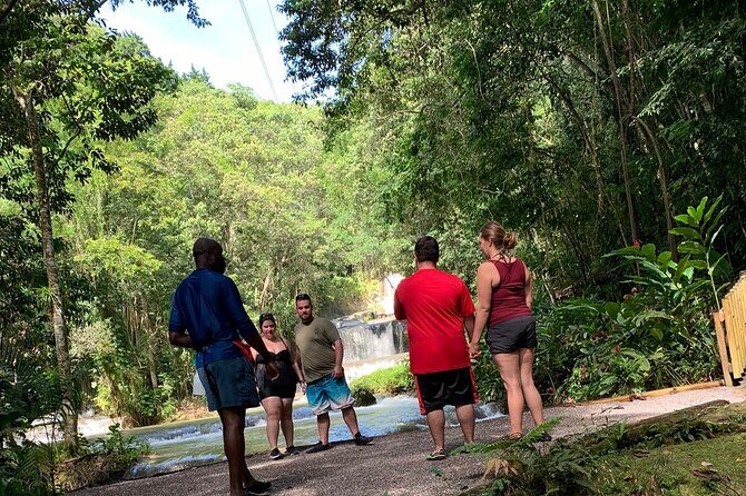 Appleton estate,YS Falls,Black River Safari,Pelican Bar(any 3of4) - What to Expect and Practical Tips