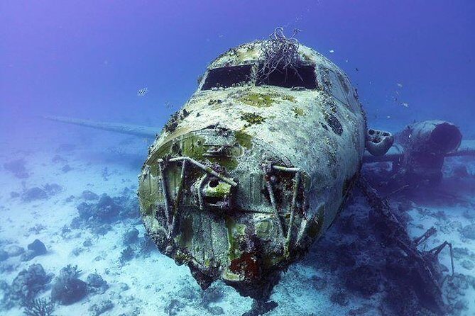 Aruba 2-Tank guided Dive for certified divers / own equipment - What to Carry and How to Prepare