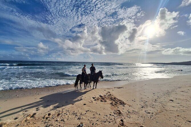Aruba Private, 2 Hour Horseback Riding Tour For Advanced Riders - The Practical Side: Logistics, Safety, and Pricing