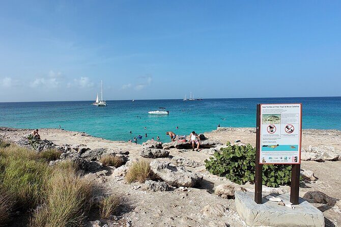 Aruba Turtle Spotting Snorkeling Adventure - The Cost and Its Value