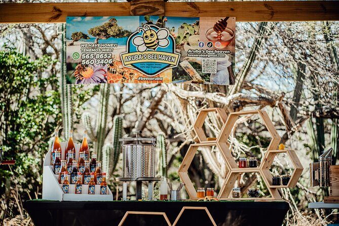 Aruba´s Bee Haven Private Adventure - The Itinerary in Detail