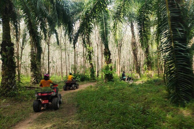 ATV Jungle Adventure in Krabi with Roundtrip Transfer - How Does It Compare in Value?