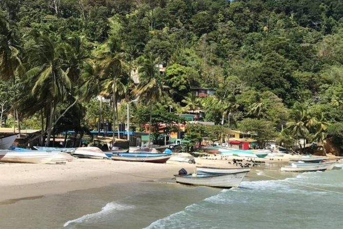 Avocat Waterfall Tour & Beach Stop Package - Why This Tour Works for Different Travelers