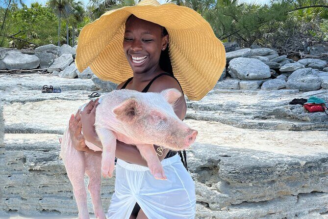 Bahamas Swimming Pigs Experience on Rose Island - Transportation and Group Size