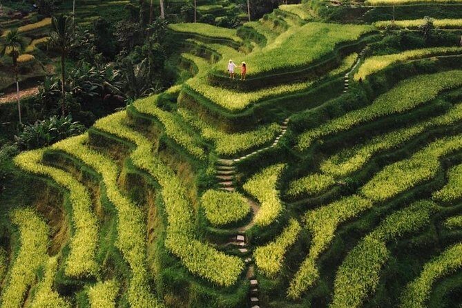 Bali Instagram Tour - All Inclusive - The Reviews: Authentic Insights from Travelers