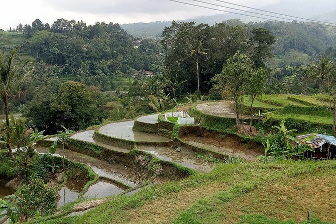 Bali Private Tour Guide And Driver - What Makes This Tour Stand Out?