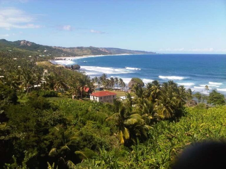 Barbados: 4 Hour Private Customized Island Tour - What Can You Expect on the Tour?