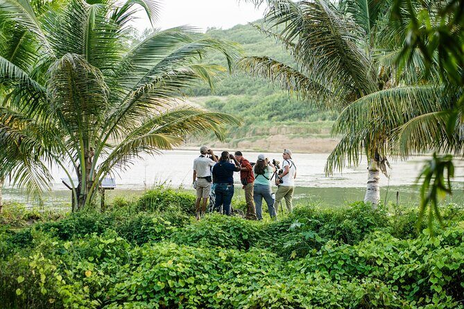 Barbados Bird Watching Experience (Transport Included) - Final Thoughts