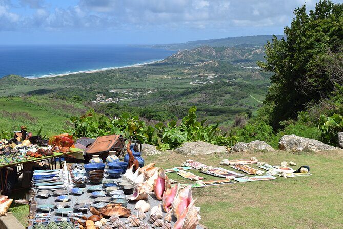 Barbados Shore Excursion: Bajan Highlights - What Travelers Are Saying