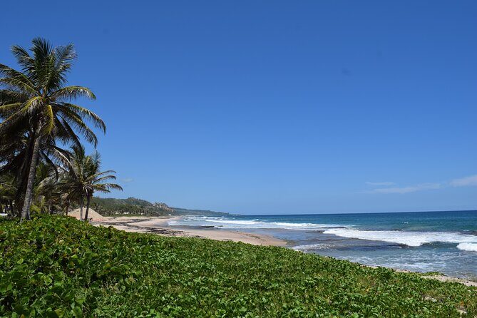 Barbados Shore Excursion: Barbados Surf & Turf - The Sum Up