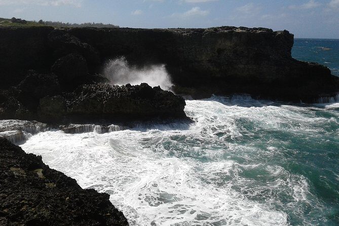 Barbados Sightseeing Plantation distillery tour, Lunch & Drink - Transportation & Group Dynamics