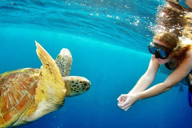 Best Snorkeling Trip at Blue Lagoon Bali - A Detailed Look at the Bali Snorkeling Tour