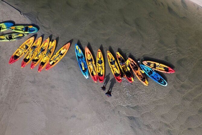 Bio Bay Night Kayak Tour in Fajardo - What to Expect on This Night Kayak Tour in Fajardo
