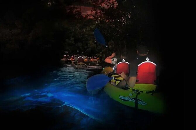 BioBay Sunset Splash-Kayaking Tour - Analyzing the Cost and Overall Value