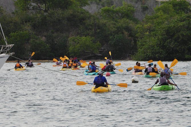 Bioluminescent Bay Night Kayaking, Fajardo - The Value for Money