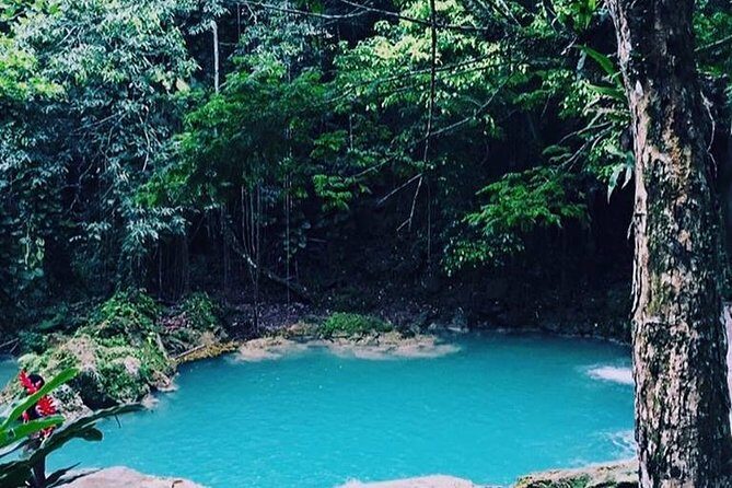 Blue Hole and Dunn's River Falls Tour from Montego Bay - The Value of This Tour