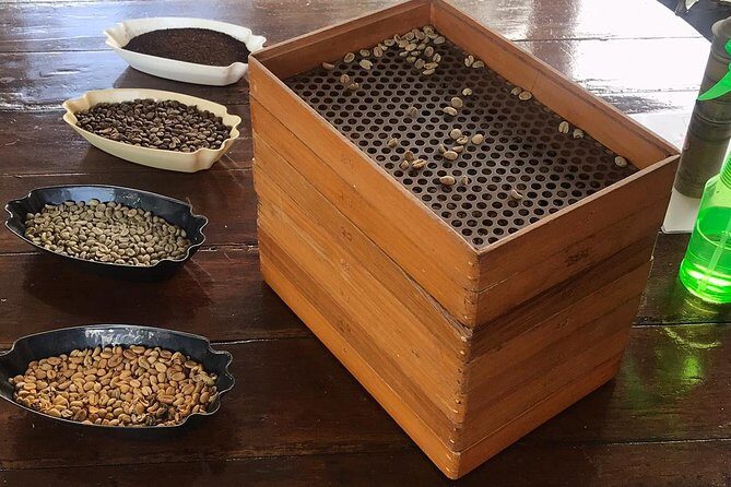 Blue Mountains Coffee Private Tour from Kingston - The Authenticity and Value
