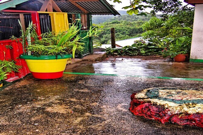 Bob Marley Nine Mile and Dunns River Combo from Ocho Rios - Who Will Love This Tour?