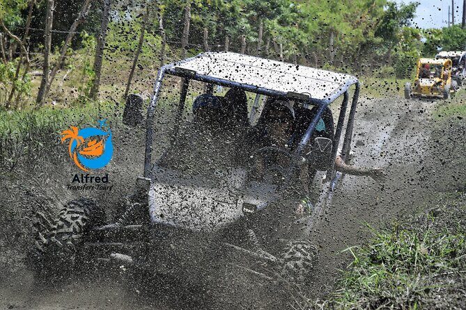 Buggy Excursion in Puerto Plata - The Practical Details: What You Need to Know