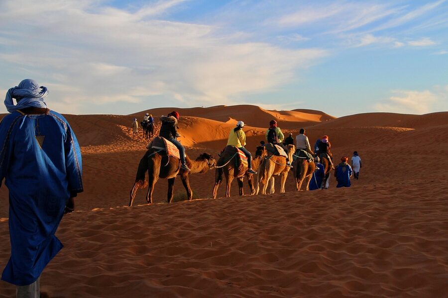 Camel caravan walking through golden desert sands