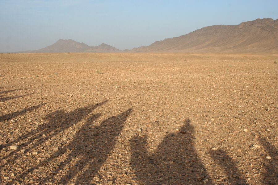 Camel trek shadow on sand