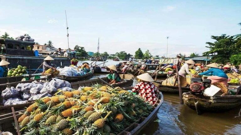 Can Tho: Cai Rang Floating Market and Canals - Practical Tips for Travelers