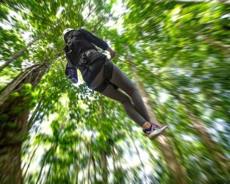 Castries, St. Lucia - Adrenaline Zipline - Who Will Love This Tour?