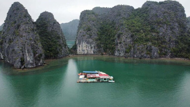 CAT BA :2D1N Lan Ha bay-Ha Long bay with Plankton Excursion - Who Should Consider This Tour?