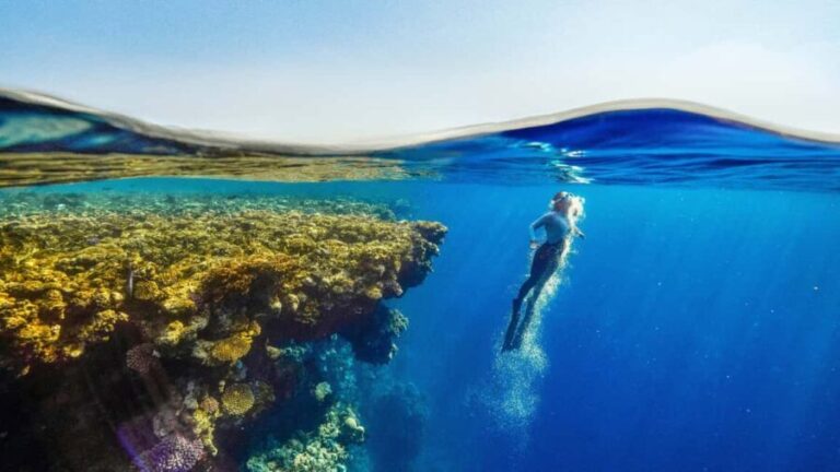 Catalina Island, even more pristine than Saona - What You Can Expect on the Island