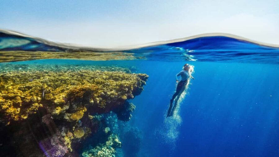 Catalina Island, even more pristine than Saona - What You Can Expect on the Island