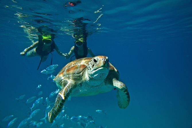 Catamaran and Snorkeling Cruise At Carlisle Bay - The Itinerary: What You Can Expect