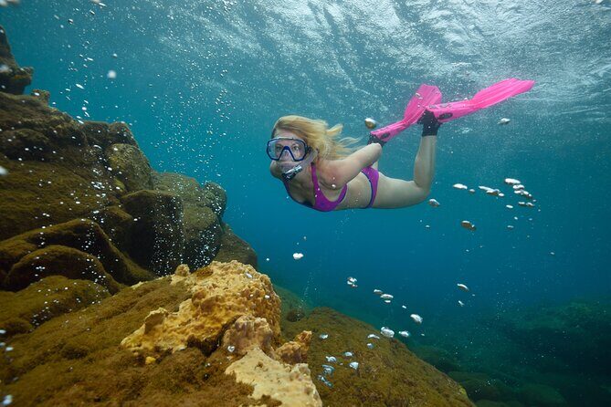 Champagne Reef Snorkeling Tour at volcanic hot Bubbles Dominica - What to Expect in Practice