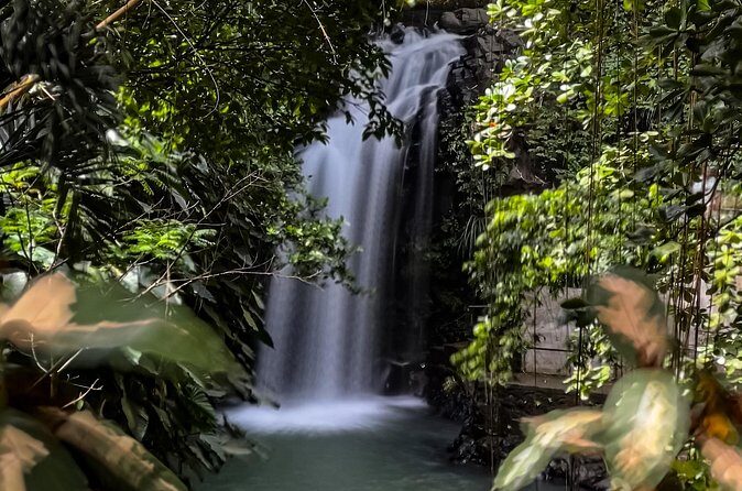 Chasing Waterfalls in Grenada Hike and Adventure Tours - Who Will Love This Tour?