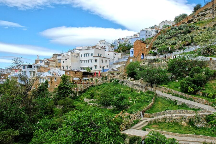 Chefchaouen hillside greenery amid architecture