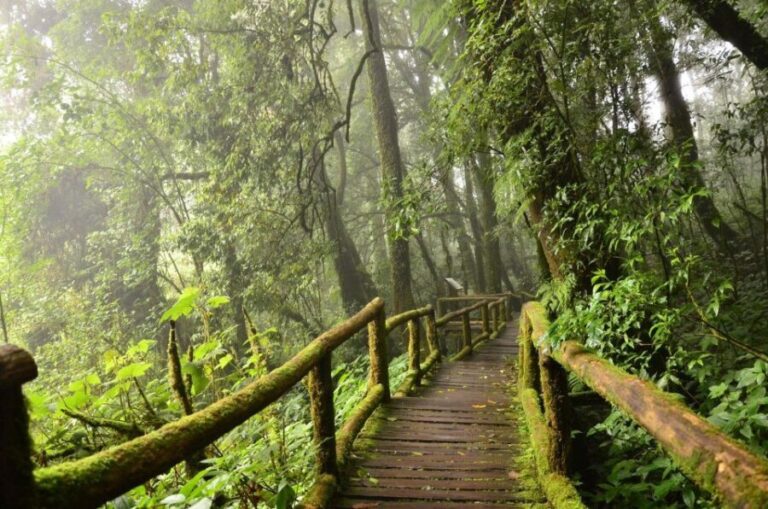 Chiang Mai: Pha Dok Siew Nature Trail & Doi Inthanon Trip - The Itinerary Breakdown