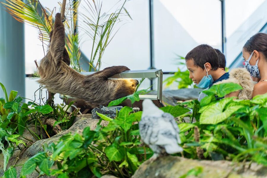 Children observing animals through glass at indoor zoo exhibit