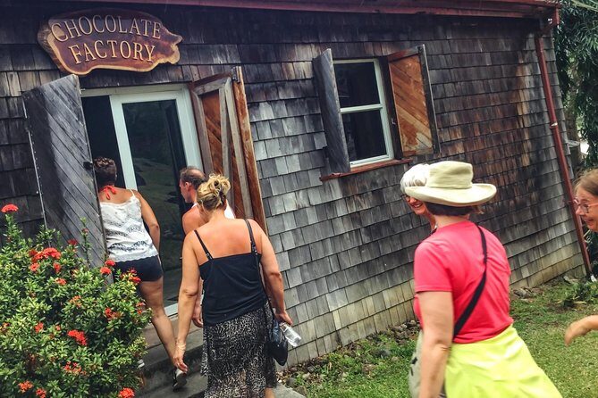 Chocolate Factory Belmont Estate, Annandale Falls & Grand Etang Lake Tour - Who Is This Tour Best For?