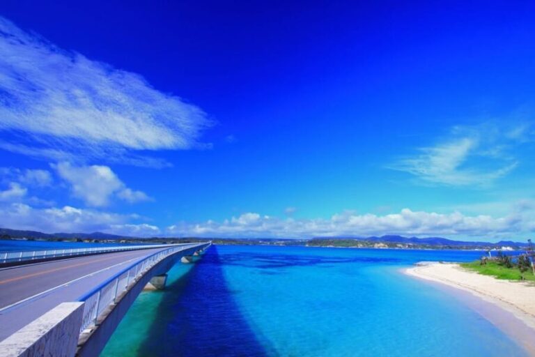 Churaumi Aquarium, Cape Manzamo, American Village - Who Will Love This Tour?
