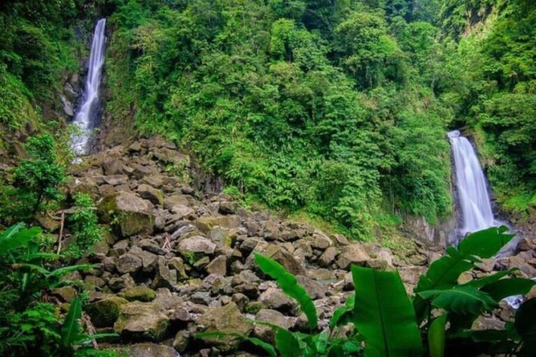 City Tour w/ Gardens, Volcano, Trafalgar Falls, Morne Bruce - Transportation and Group Dynamics