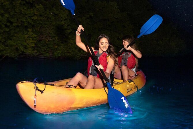 CLEAR BOTTOM KAYAKS Tour in Bioluminescent, Mosquito Bay - Authentic Traveler Insights