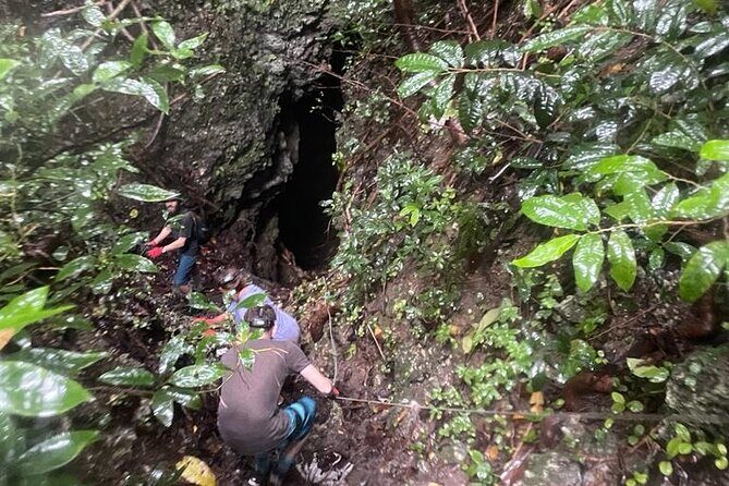 Cole's Cave Spelunking Adventure - The Geological and Wildlife Highlights