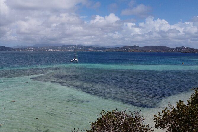 Day trip at sea to the Fonds Blancs Martinique Windward Coast - Why This Tour Stands Out