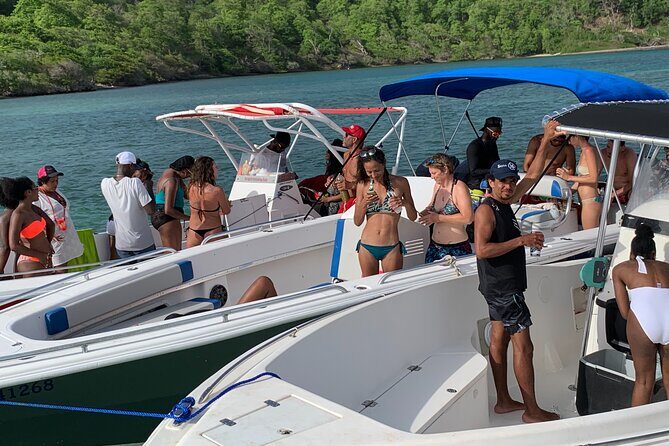 Day Trip by Boat from Le Robert - The Overall Experience: What Makes It Special