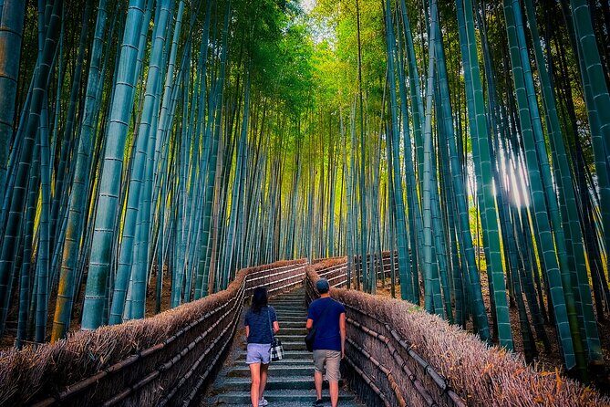 Deep Kyoto Tour in Private Van - guided by Local Expert - Spiritual and Cultural Highlights
