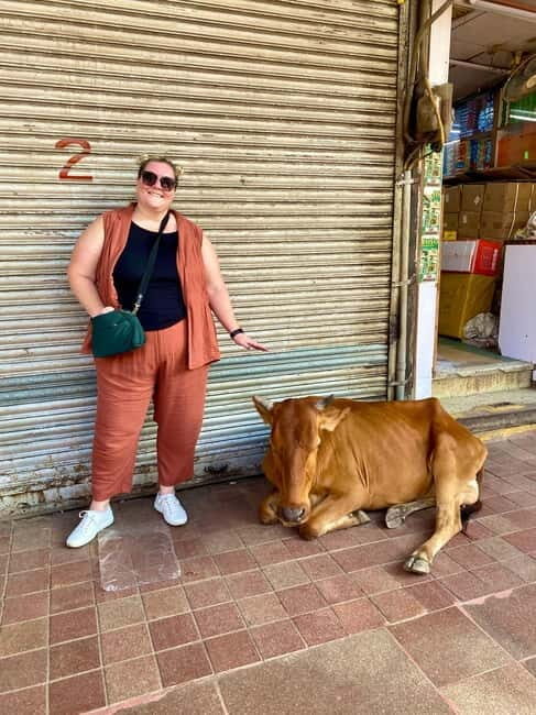 Delhi: Old Delhi's Street Food, Temples & Spice Market Tour - Detailed Breakdown of the Itinerary